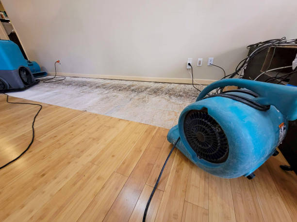 Professional Burst Pipe Water Damage technician working in Spencer, MA